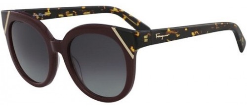 Salvatore Ferragamo SF 836S 520